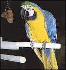 1.2.2函数的表示法